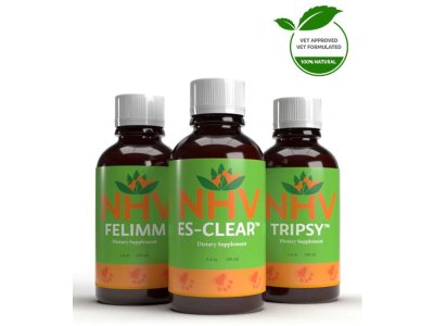 LYMPHOMA SUPPORT KIT