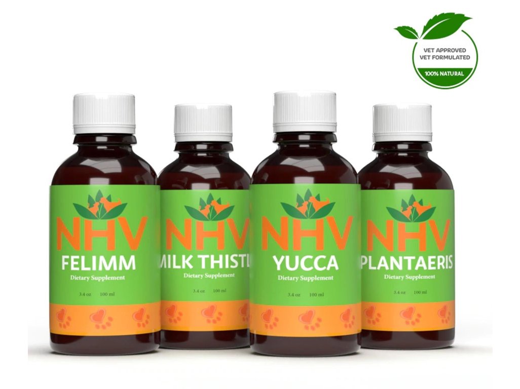 GASTROINTESTINAL LYMPHOMA SUPPORT KIT